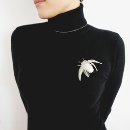Silver fly