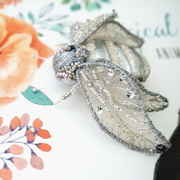 Silver fly