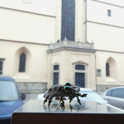 Iridescent beetle