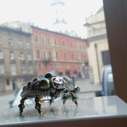 Iridescent beetle
