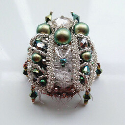 Iridescent beetle