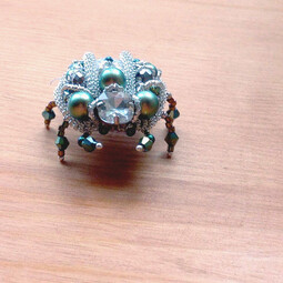 Iridescent beetle