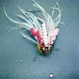 Pink dragonfly