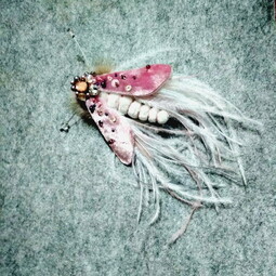 Pink dragonfly
