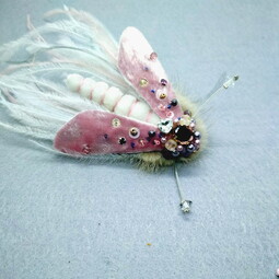 Pink dragonfly
