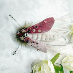 Pink dragonfly