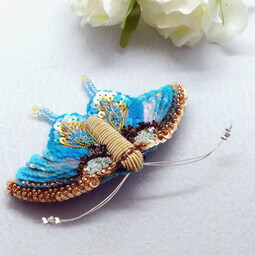 Morpho