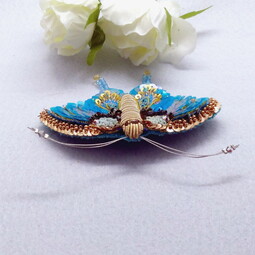 Morpho