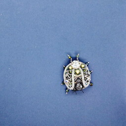 Iridescent beetle's attak