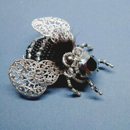 Black silver fly