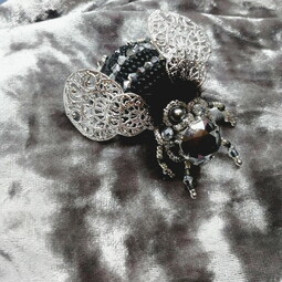 Black silver fly