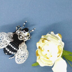Black silver fly