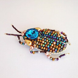Rainbow bug
