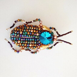 Rainbow bug