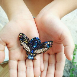 Navi golden fly