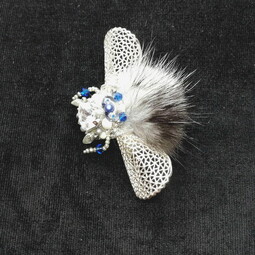 Lightwing fly