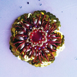 Chrysanthemum