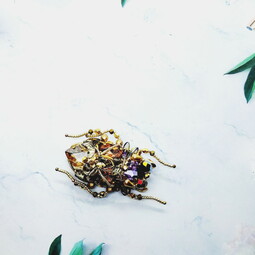 Crystal bug