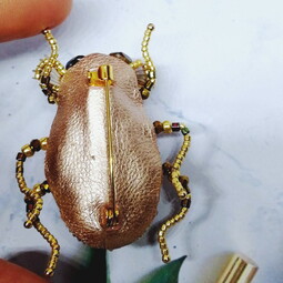 Gold bug