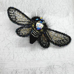 Spring cicada