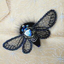 Spring cicada