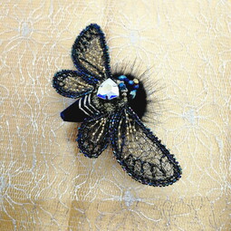 Spring cicada