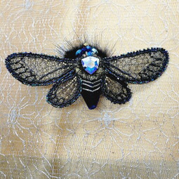 Spring cicada