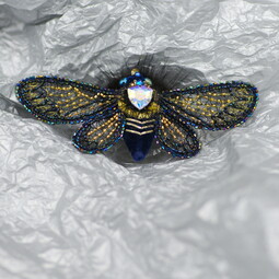 Spring cicada