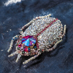 Silvery-pink bug
