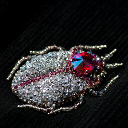 Silvery-pink bug