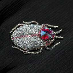 Silvery-pink bug