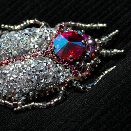Silvery-pink bug