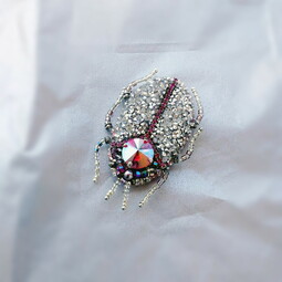 Silvery-pink bug