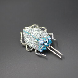 Silver-blue bug
