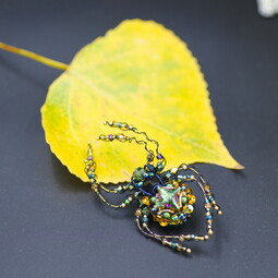 Autumn emerald spider