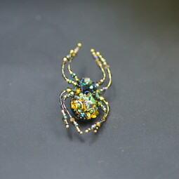 Autumn emerald spider