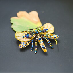 Autumn gold dragonfly