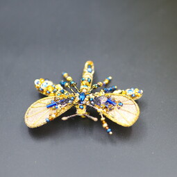 Autumn gold dragonfly