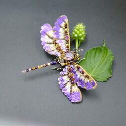Autumn violet dragonfly