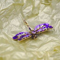 Autumn violet dragonfly