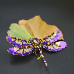 Autumn violet dragonfly