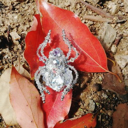 Autumn crystal spider