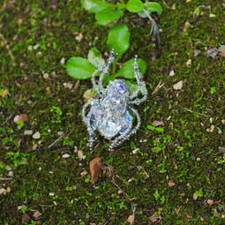 Autumn crystal spider