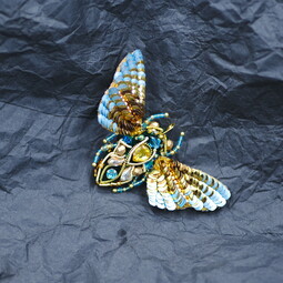 Butterfly of dawn
