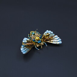 Butterfly of dawn