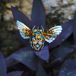 Butterfly of dawn