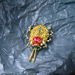 Red/gold bug