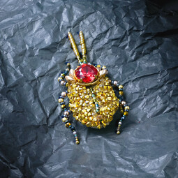 Red/gold bug