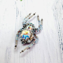 Spider and fly