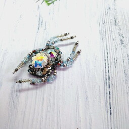 Spider and fly